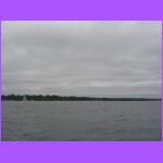 In the Water.jpg